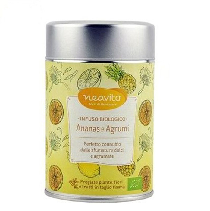 FILTROSCRIGNO ANANAS E AGRUMI BIO 15 FILTRI X 3,5 G - farmachicca