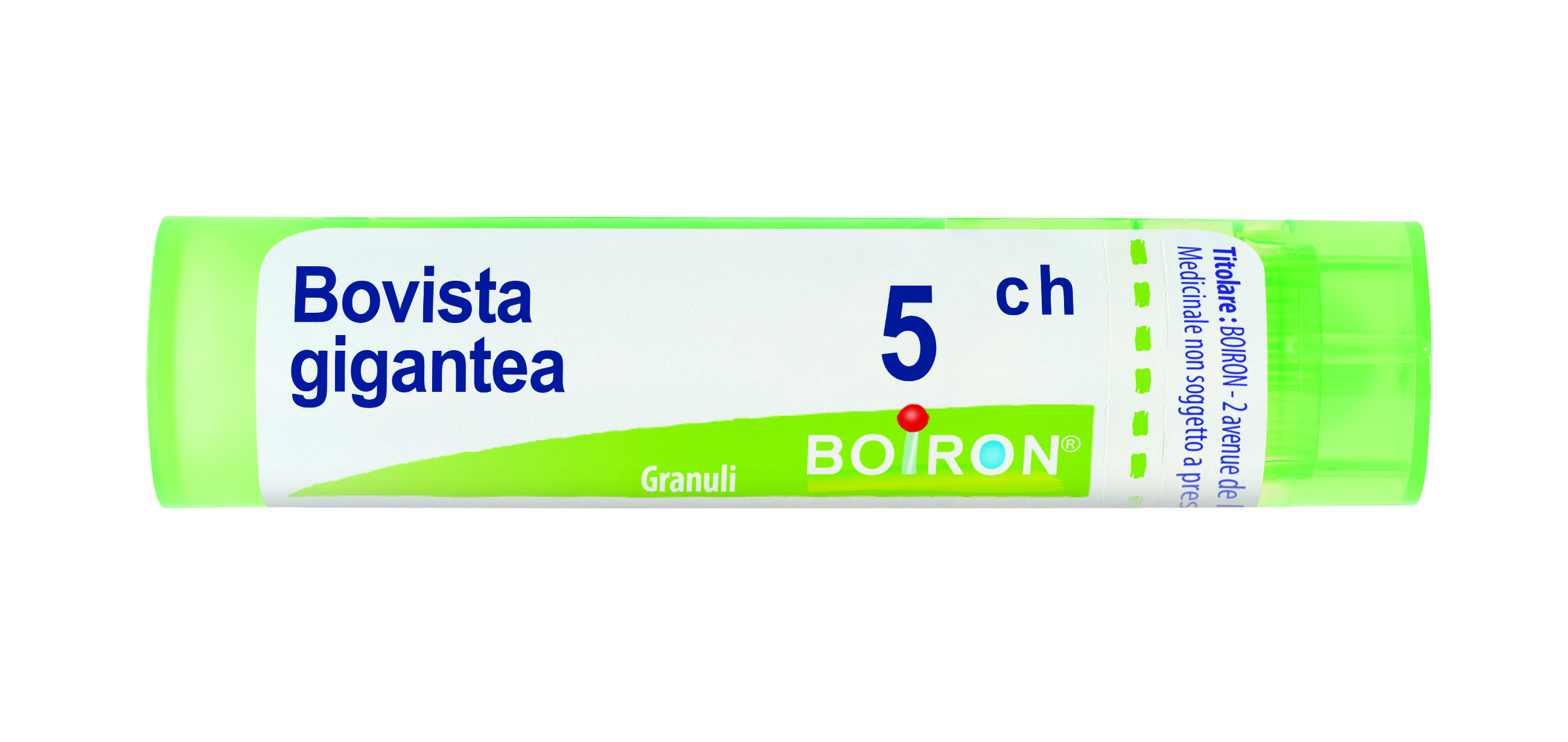 BOVISTA GIGANTEA*5CH 80GR 4G - farmachicca