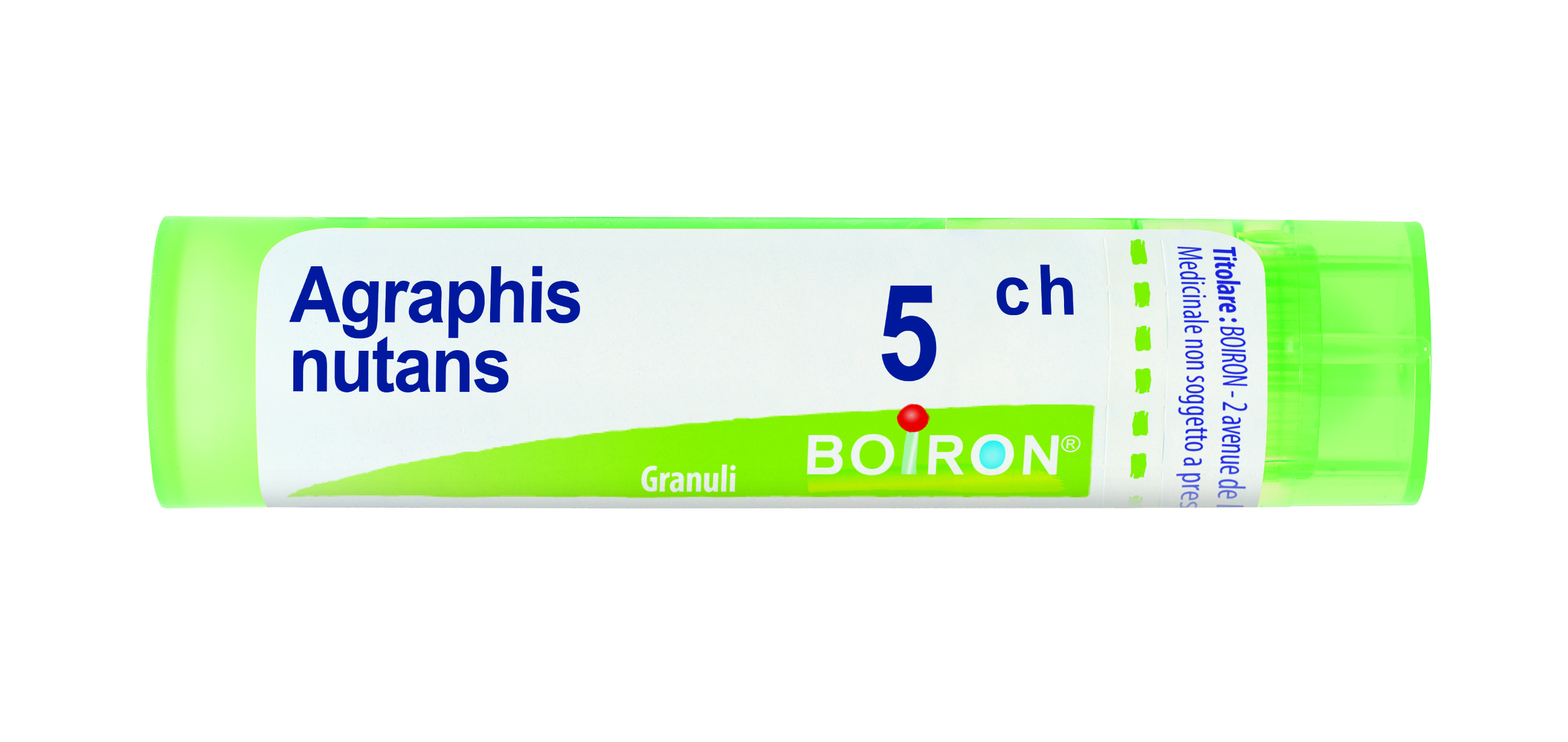 AGRAPHIS NUTANS*5CH 80GR 4G - farmachicca
