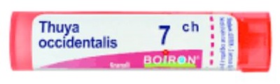 THUYA OCCIDENT 7CH GLOBULI - farmachicca