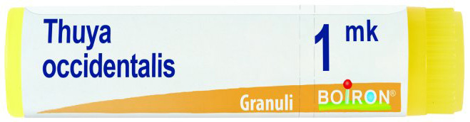 THUYA OCCIDENTALIS MK GLOBULI - farmachicca