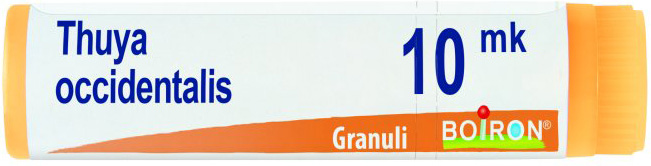 THUYA OCCIDENTALIS XMK GLOBULI - farmachicca