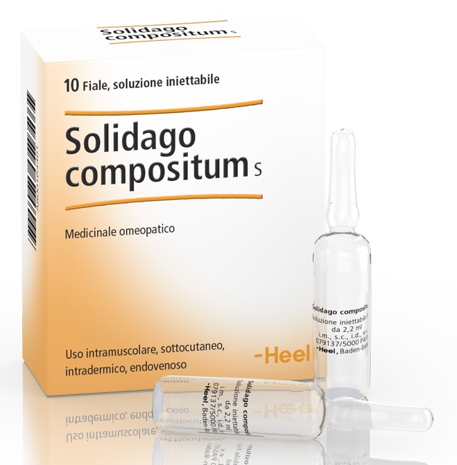 HEEL SOLIDAGO COMPOSITUM 10 FIALE DA 2,2 ML L'UNA - farmachicca