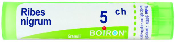 RIBES NIGRUM 5CH GRANULI - farmachicca