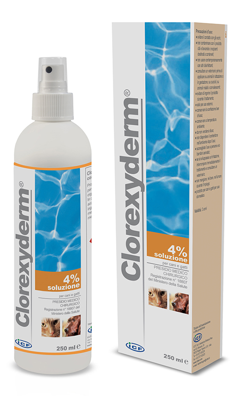 CLOREXYDERM SOLUZIONE 4% 250 ML - farmachicca