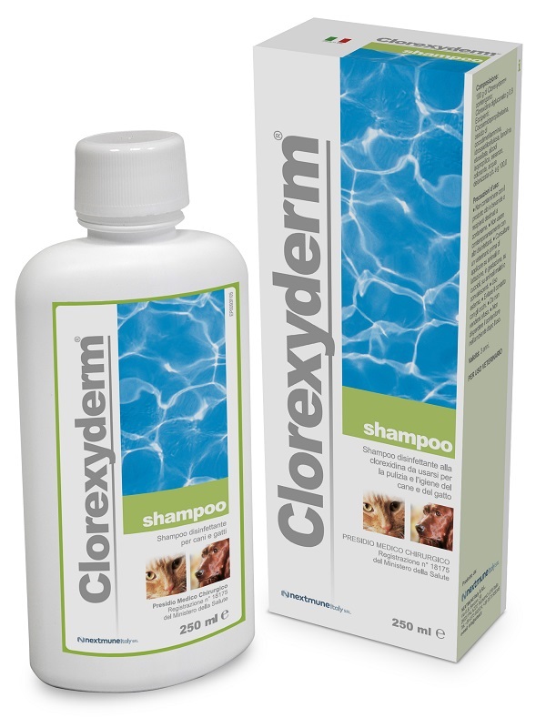 CLOREXYDERM SHAMPOO 250 ML - farmachicca