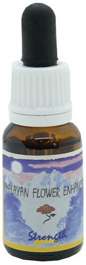 STRENGTH ESSENZA 15 ML 1 PEZZO - farmachicca