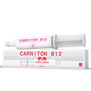 CARNITON B 12 PASTA 1 SIRINGA 100 G - farmachicca