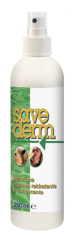 SAVEDERM SOLUZIONE 250 ML - farmachicca