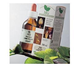 BETULA VERRUCOSA 100ML MG - farmachicca