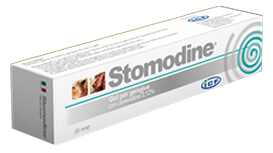 STOMODINE GEL GENGIVALE CANI 30 ML - farmachicca