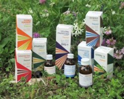 RAEMIL SALVIA MACERATO IDROALCOLICO COMP 50 ML - farmachicca