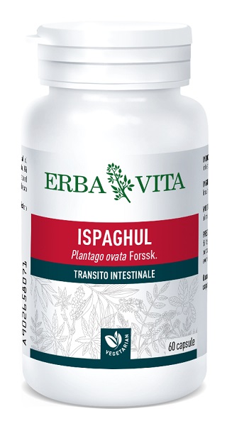 ISPAGUL 60 CAPSULE 500 MG - farmachicca