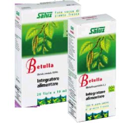 BETULLA SUCCO 200ML BIO - farmachicca