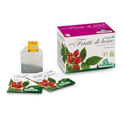 INFUSO BIO FRUTTA FRUTTI DI BOSCO 20 FILTRI - farmachicca