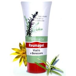 RECOVER GEL PFERDESALBE 200 ML - farmachicca