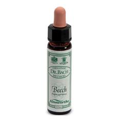AINSWORTHS BEECH 10ML - farmachicca