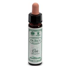 AINSWORTHS ELM 10ML - farmachicca