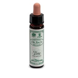 AINSWORTHS PINE 10ML - farmachicca
