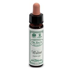 AINSWORTHS WALNUT 10ML - farmachicca
