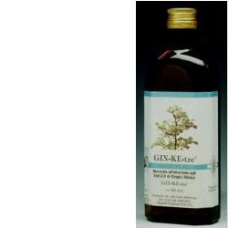 GINKETZE IDROMIELE 200 ML - farmachicca