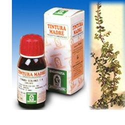 UVA URSINA 30 50ML TM - farmachicca