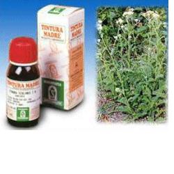 ACHILLEA 51 50ML TM - farmachicca
