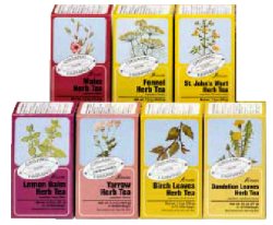 IPERICO TISANA 15 FILTRI BIO - farmachicca