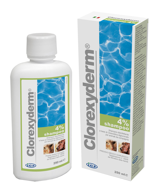 CLOREXYDERM SHAMPOO 4% 250 ML - farmachicca
