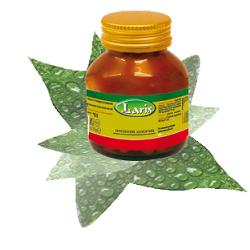 SPIRULINA 60 CAPSULE - farmachicca