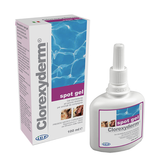 CLOREXYDERM SPOT GEL 100 ML - farmachicca