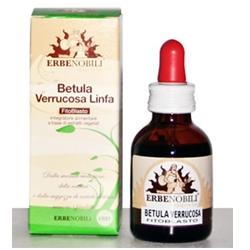 FITOBLASTO BETULLA VERRUCOSA LINFA 50 ML - farmachicca
