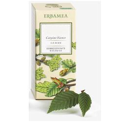 AESCULUS HIPPOCASTANUM GEMME GEMMODERIVATO 50 ML - farmachicca