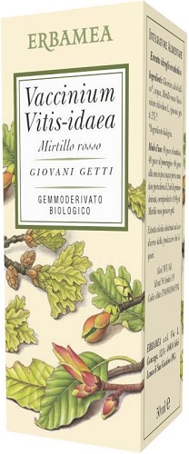 VACCINIUM VITIS IDAEA MIRTILLO ROSSO BIO 50 ML - farmachicca