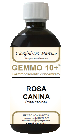 GEMMO 10+ ROSA CANINA LIQUIDO ANALCOLICO 500 ML - farmachicca