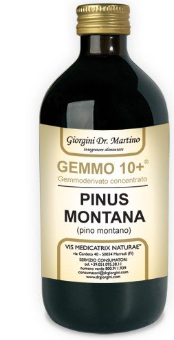 GEMMO 10+ GEMMODERIVATO CONCENTRATO LIQUIDO ANALCOLICO PINUS MONTANA PINO MONTANO 500 ML - farmachicca