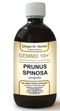GEMMO 10+ PRUGNOLO 500 ML LIQUIDO ANALCOLICO - farmachicca