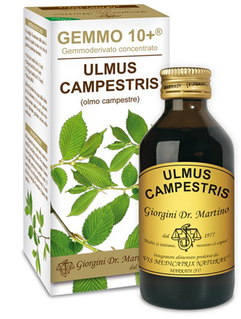 GEMMO 10+ OLMO CAMPESTRE 100 ML LIQUIDO ANALCOLICO - farmachicca