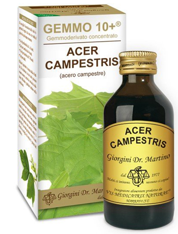 GEMMO 10+ ACERO CAMPESTRE 100 ML LIQUIDO ANALCOLICO - farmachicca