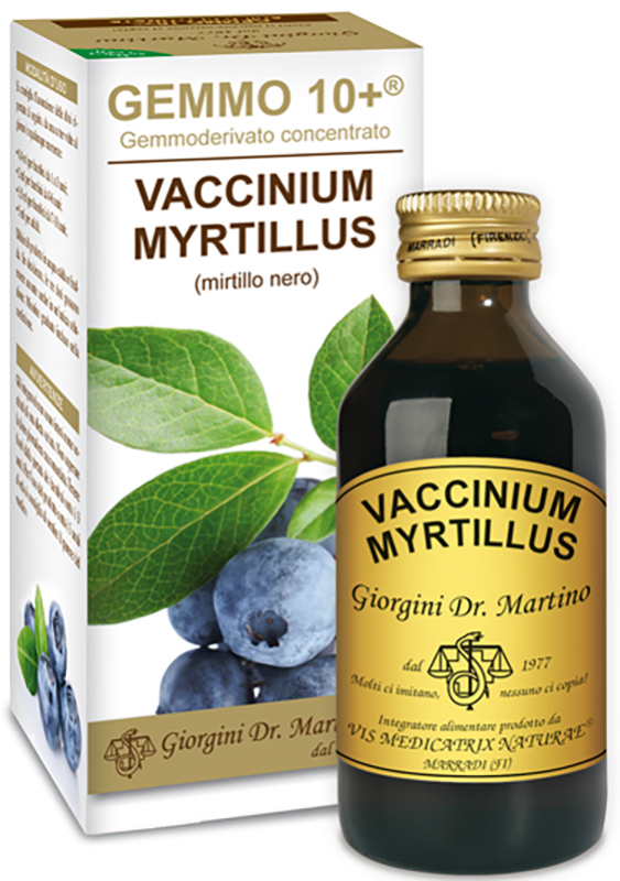 GEMMO 10+ MIRTILLO NERO LIQUIDO AN 100 ML - farmachicca