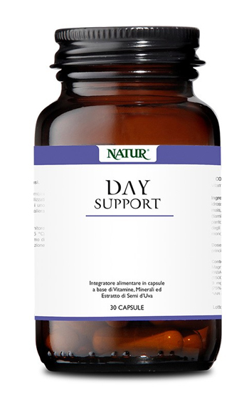 DAY SUPPORT 30 CAPSULE - farmachicca