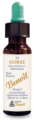 FIORI DI BACH BENOIT GORSE 10 ML - farmachicca
