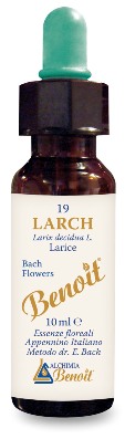 FIORI DI BACH BENOIT LARCH 10 ML - farmachicca