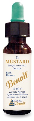 FIORI DI BACH BENOIT MUSTARD 10 ML - farmachicca