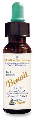 FIORI DI BACH BENOIT STAR OF BETHLEHEM 10 ML - farmachicca
