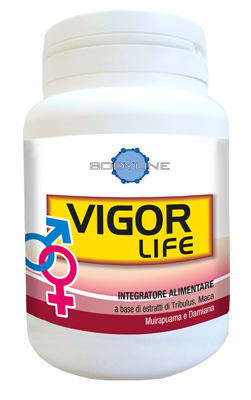 VIGOR LIFE 40 CAPSULE - farmachicca