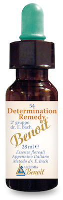 DETERMINATION REMEDY 28 ML - farmachicca