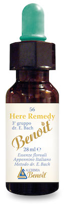HERE REMEDY 28 ML - farmachicca