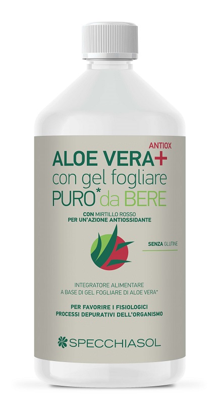 SUCCO ALOEVERA+ ALOE/MIRTILLO ROSSO 1 LITRO - farmachicca