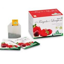 INFUSO FRAGOLA/LAMPONE 20 FILTRI - farmachicca